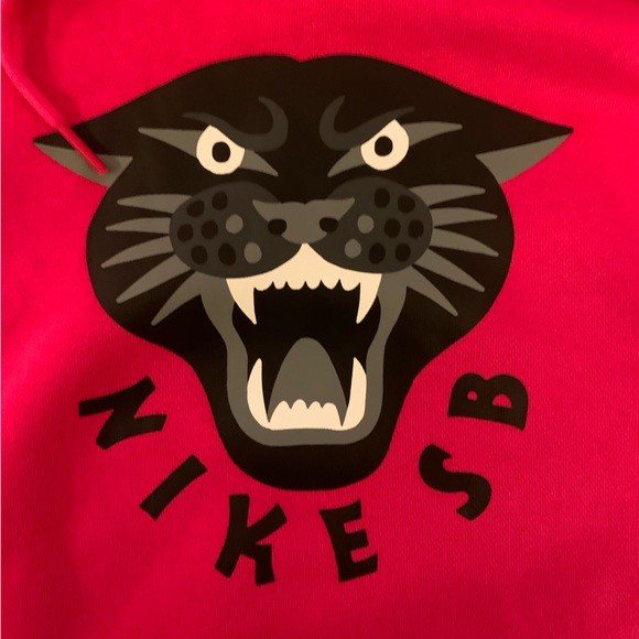 Nike SB hoodie - Picture 3 of 3